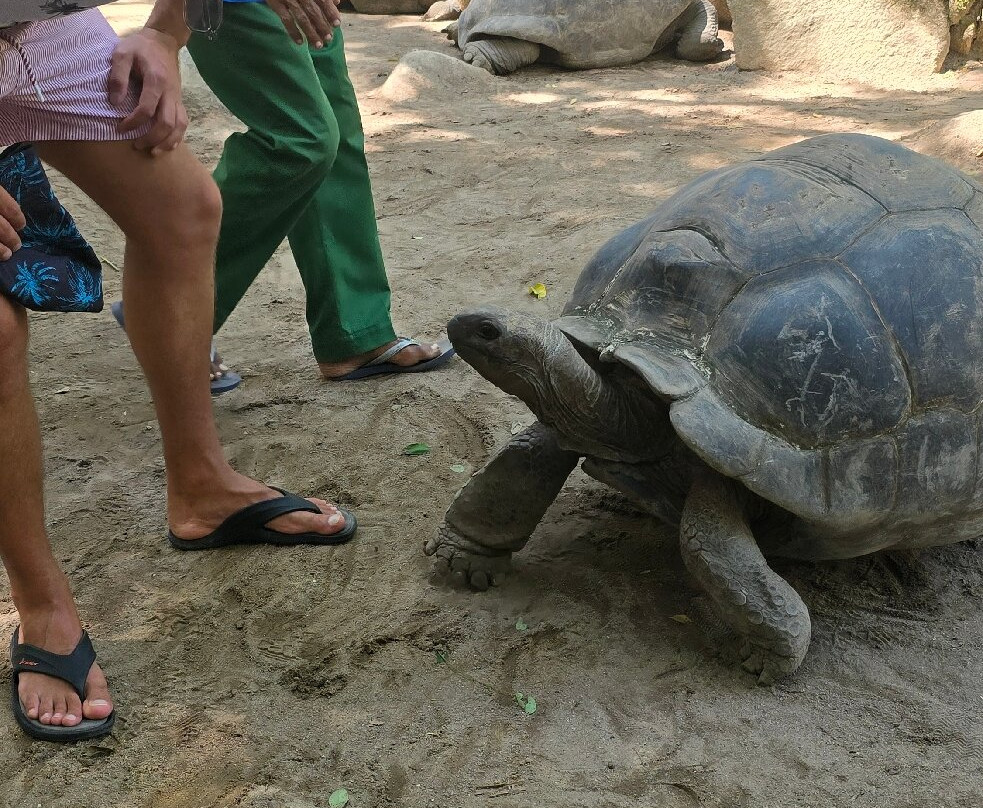 Seychelles National Botanical Gardens-维多利亚必去景点