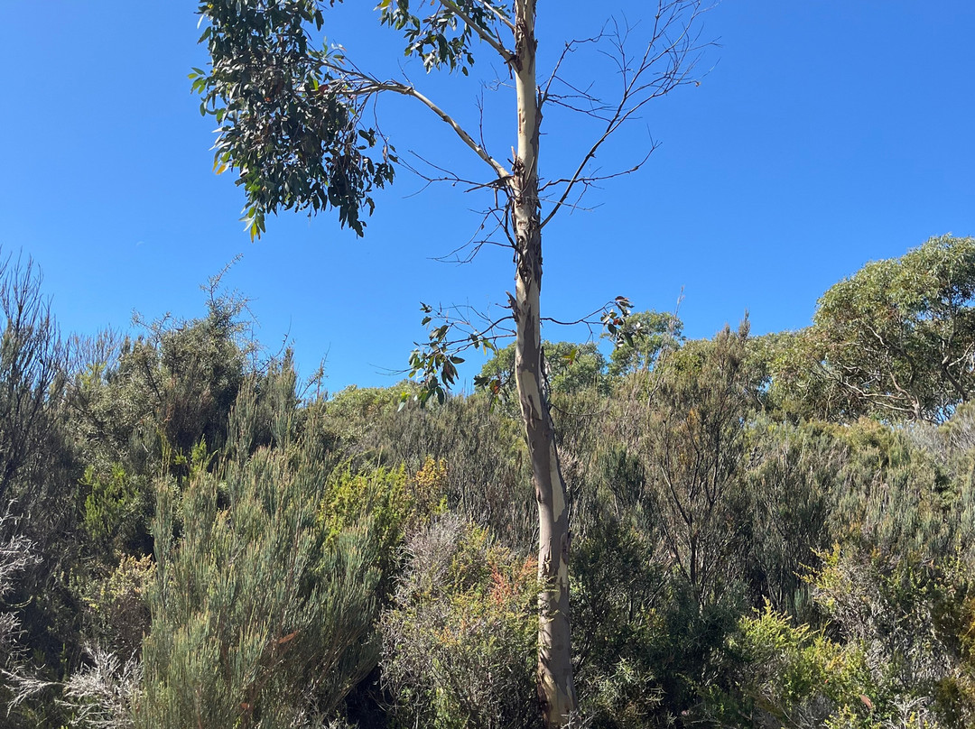 Tasmans Arch-伊格尔霍克内克必去景点