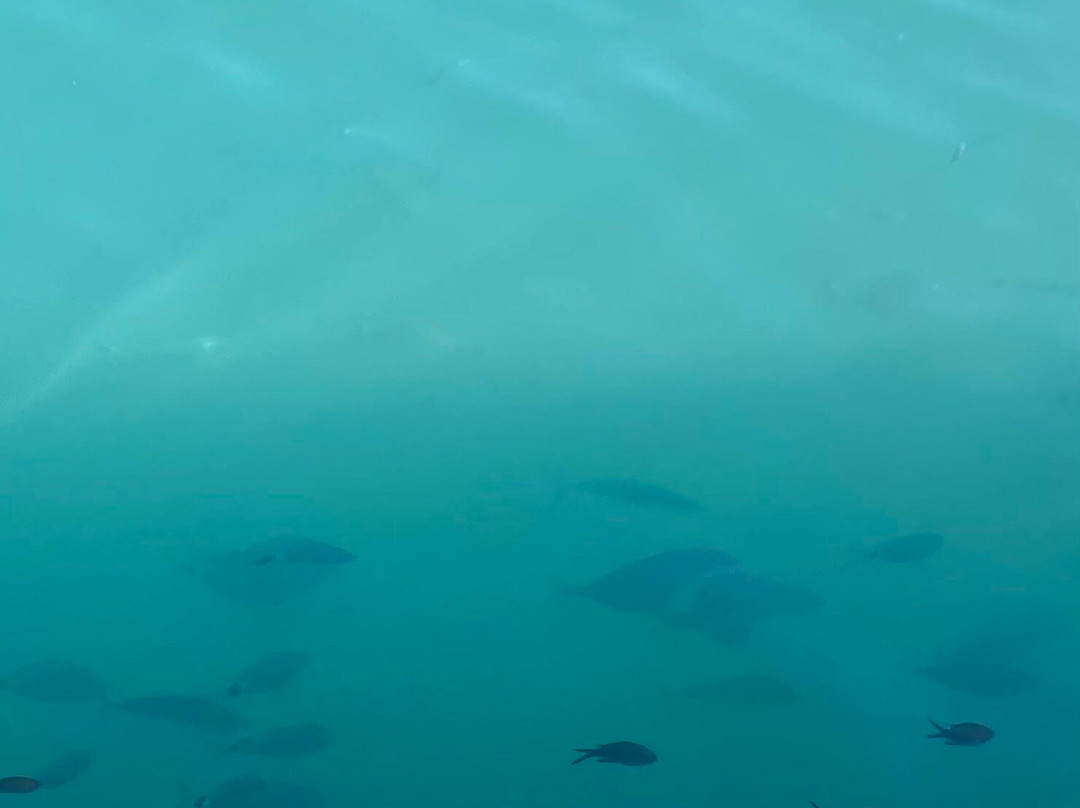 Captain Vangeli's Special Cruises-Skala必去景点