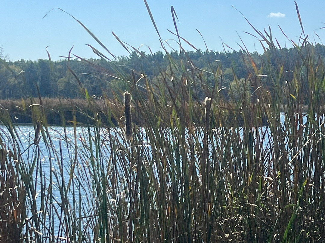 McDonald Woods Forest Preserve