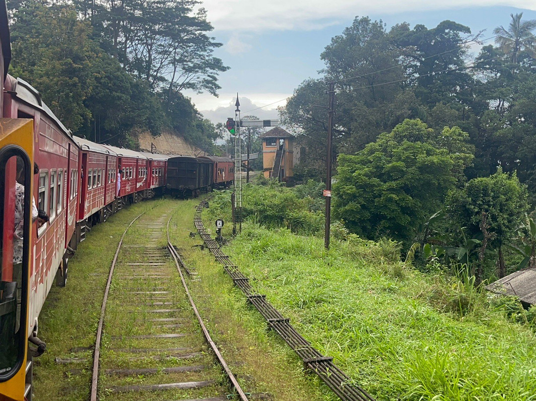 Nanuoya To Ella Train Ride-Nanu Oya必去景点