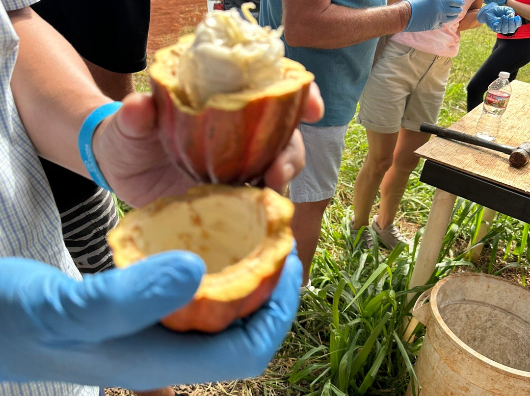 Garden Island Chocolate-基拉韦厄必去景点