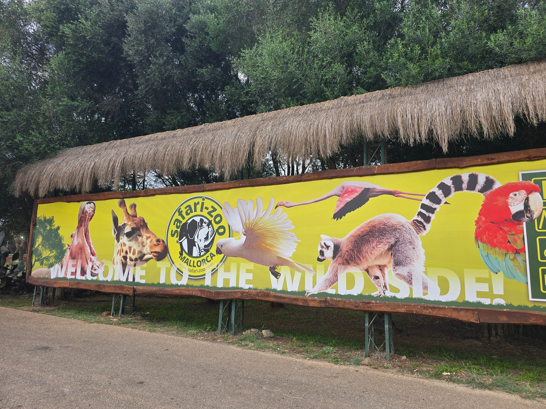 Safari Zoo Mallorca-萨可马必去景点
