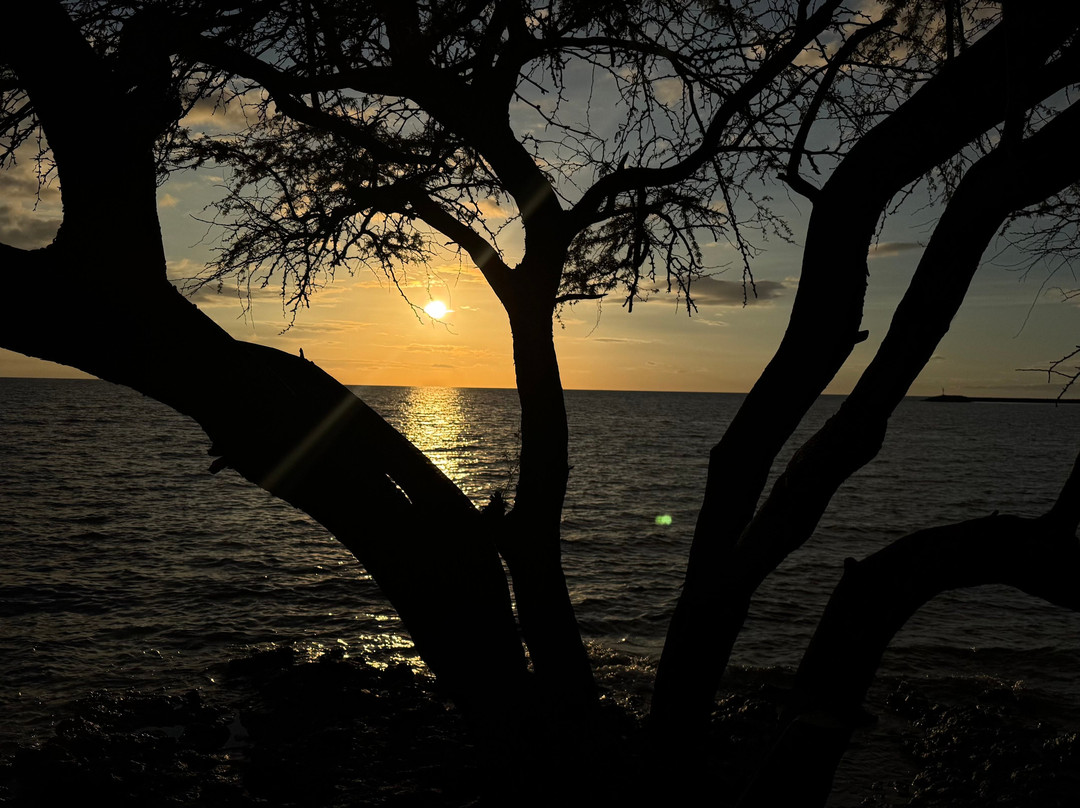 斯宾塞海滨公园-卡慕也拉必去景点