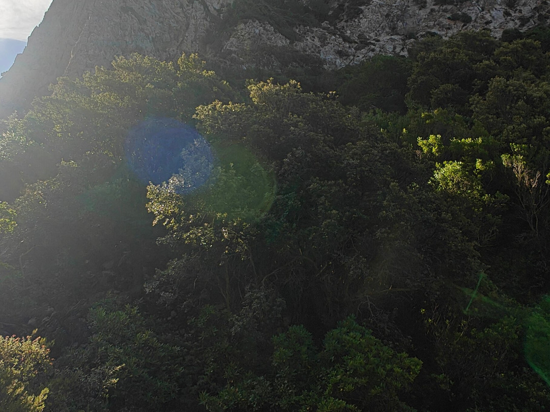 Cammino Minerario di Santa Barbara-Iglesias必去景点