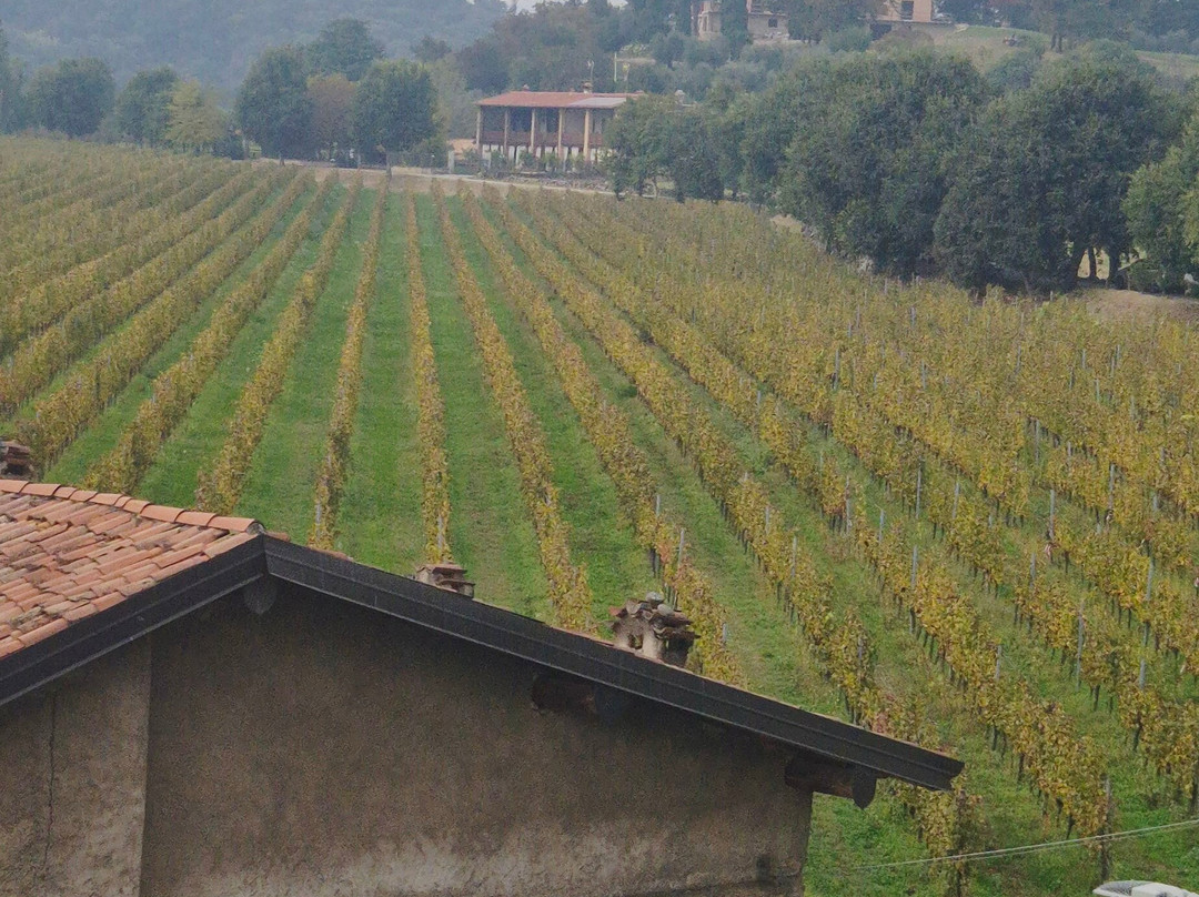 Castello di Bornato-Bornato必去景点