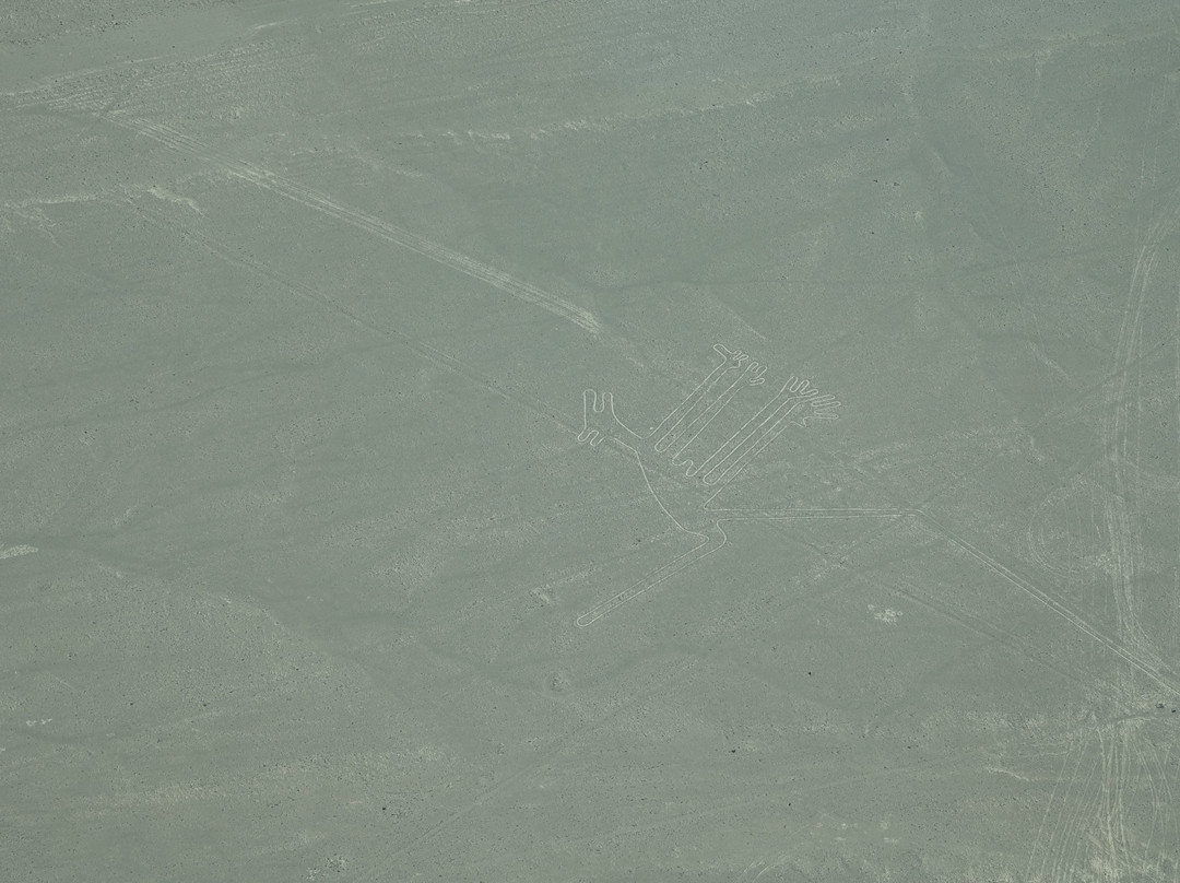 Movil Air-纳斯卡必去景点