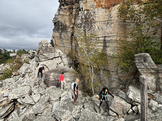 Adventure Untamed-纽约市必去景点