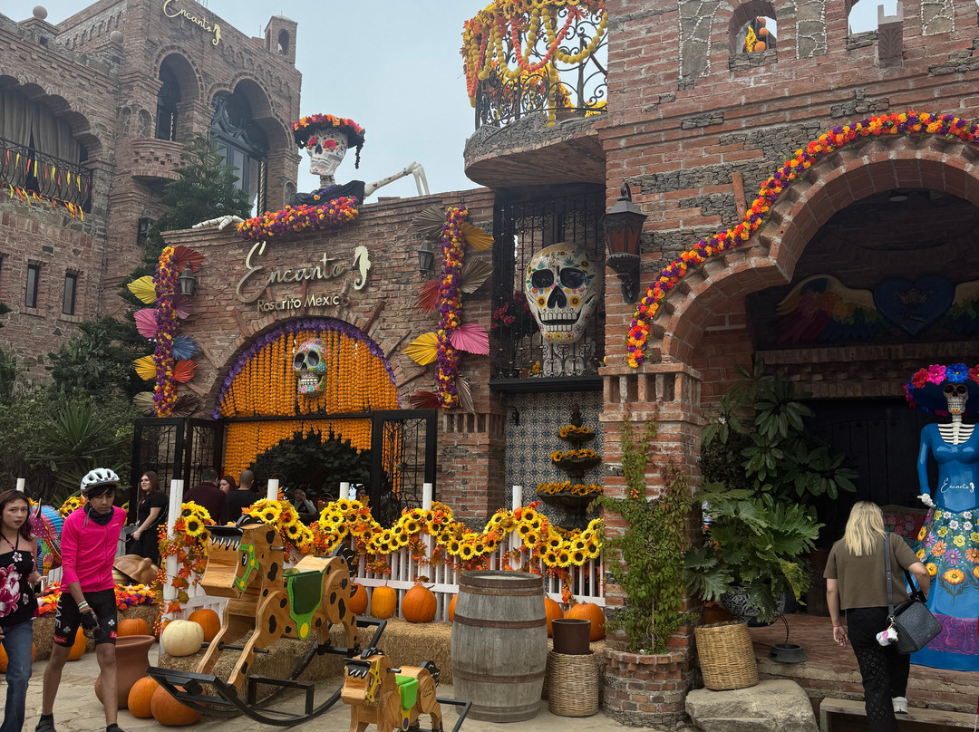 Valle De Vino Tours-Valle de Guadalupe必去景点