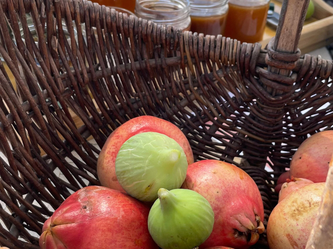 Emotions Tours - Buggy and Jeep Safaris-Silves必去景点