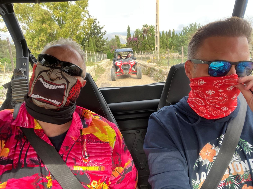 Buggy Mallorca Tours-阿尔库迪亚港必去景点