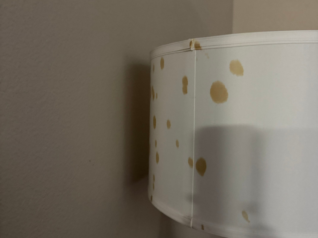 Comfort Inn Smithfield Near I-95主图