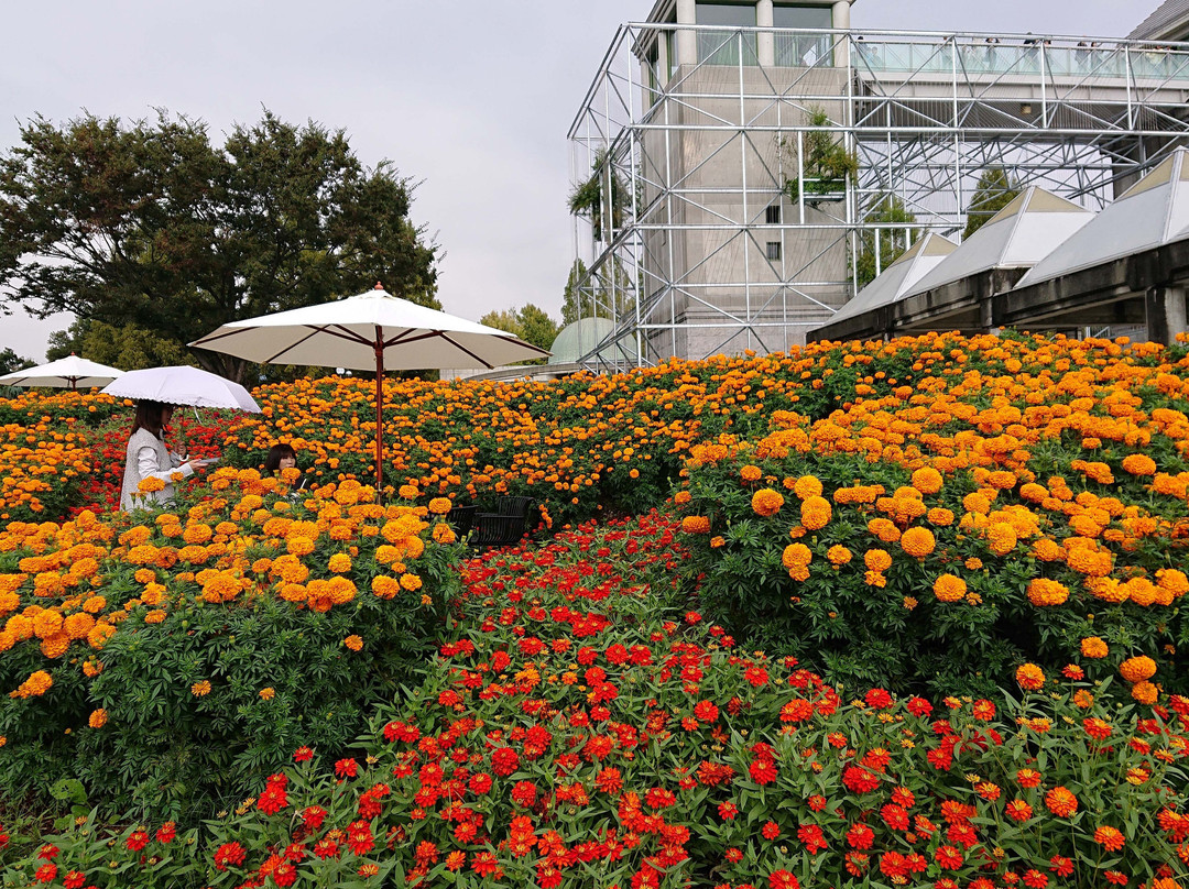 Gunma Flower Park-前桥县必去景点