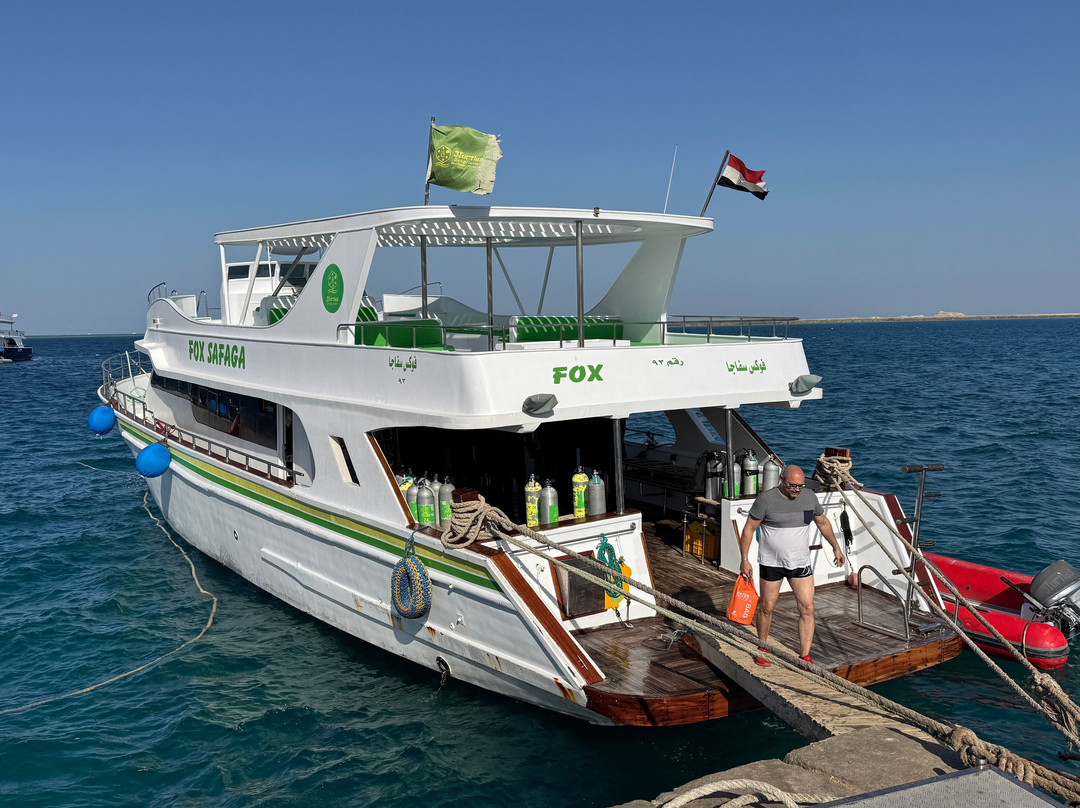 3 Turtles Diving Center-Safaga必去景点