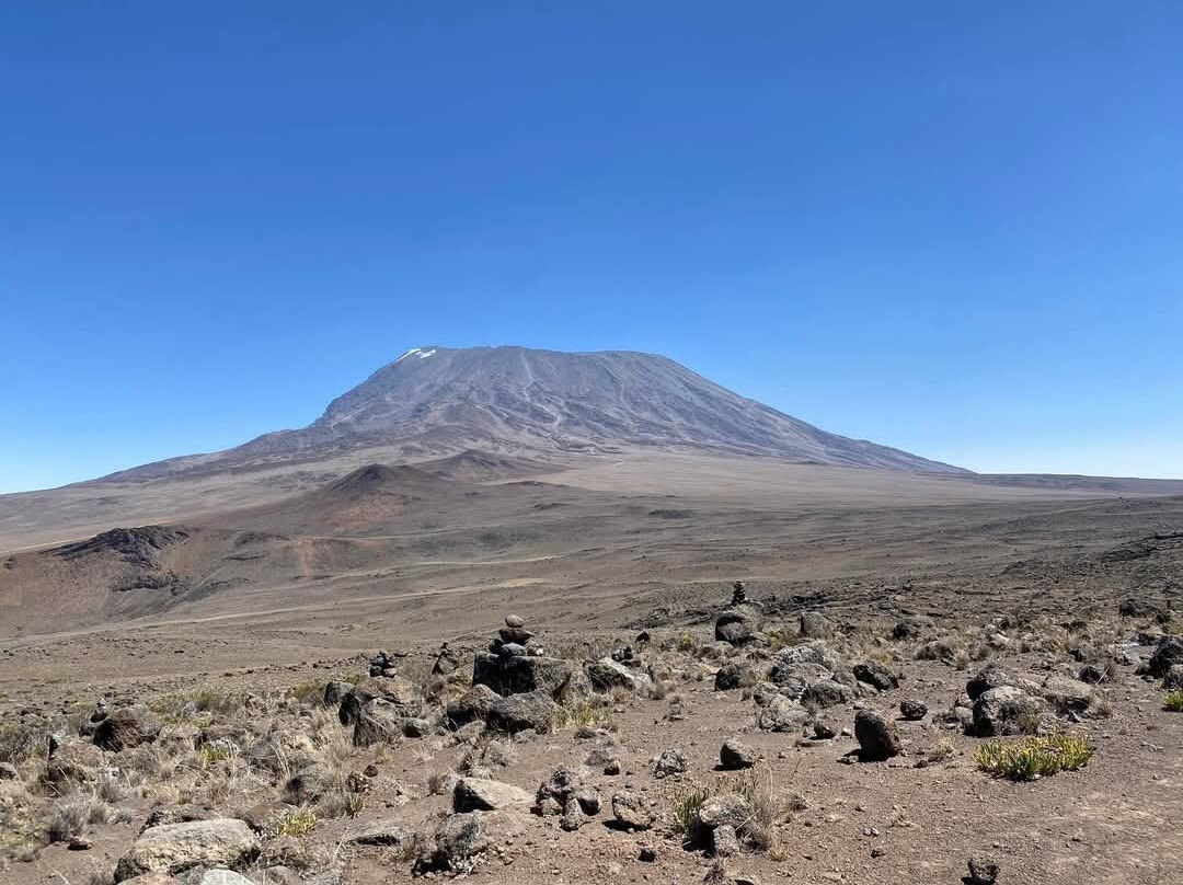 Mogli Adventure Tanzania-莫西必去景点