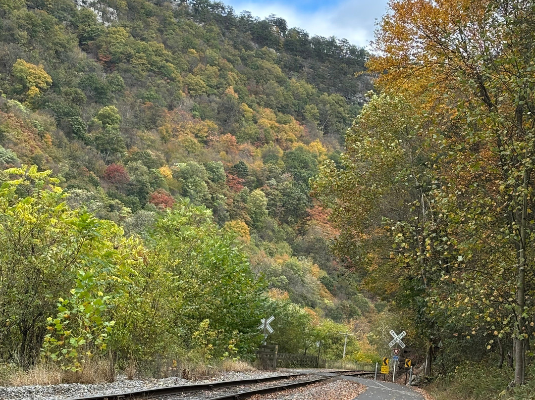 Tracks and Yaks-弗罗斯特堡必去景点