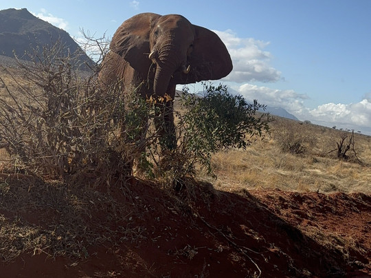 PD Tours and Safaris-蒙巴萨必去景点