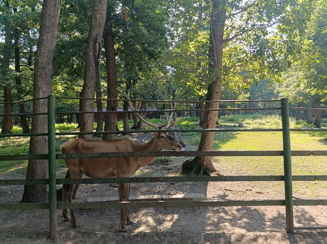 La Gradina Zoo-特尔古穆列什必去景点