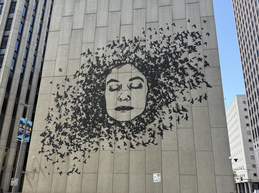 Segway Tours of Houston-休斯顿必去景点