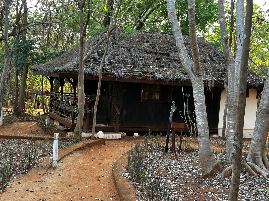 L'Orchidee de Bemaraha主图