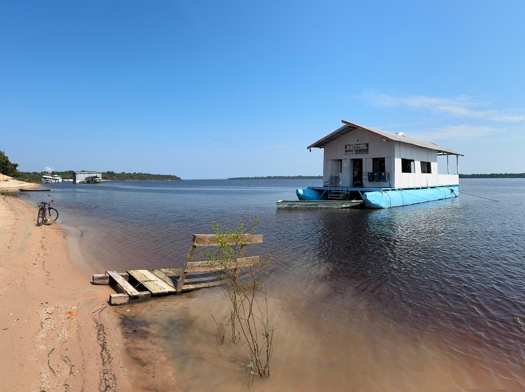 Pink Dolphins Floating Platform-Novo Airao必去景点
