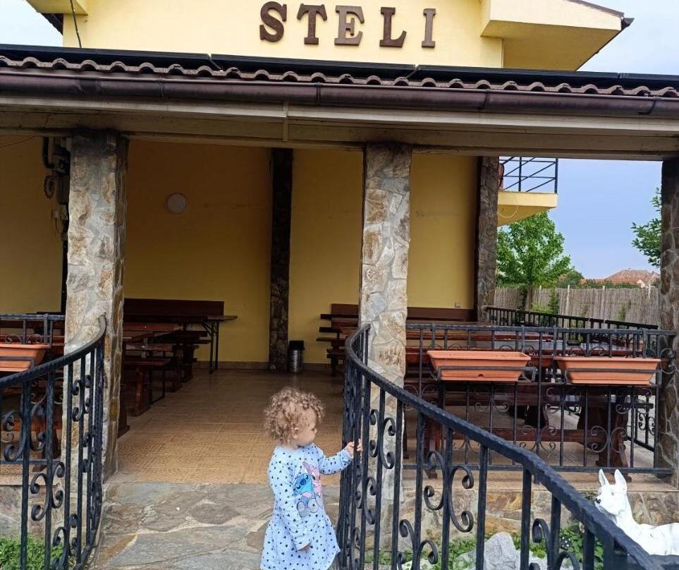 Pensiunea Casa Steli