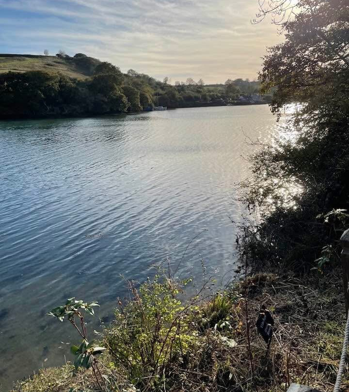 Tregothnan-特鲁罗必去景点