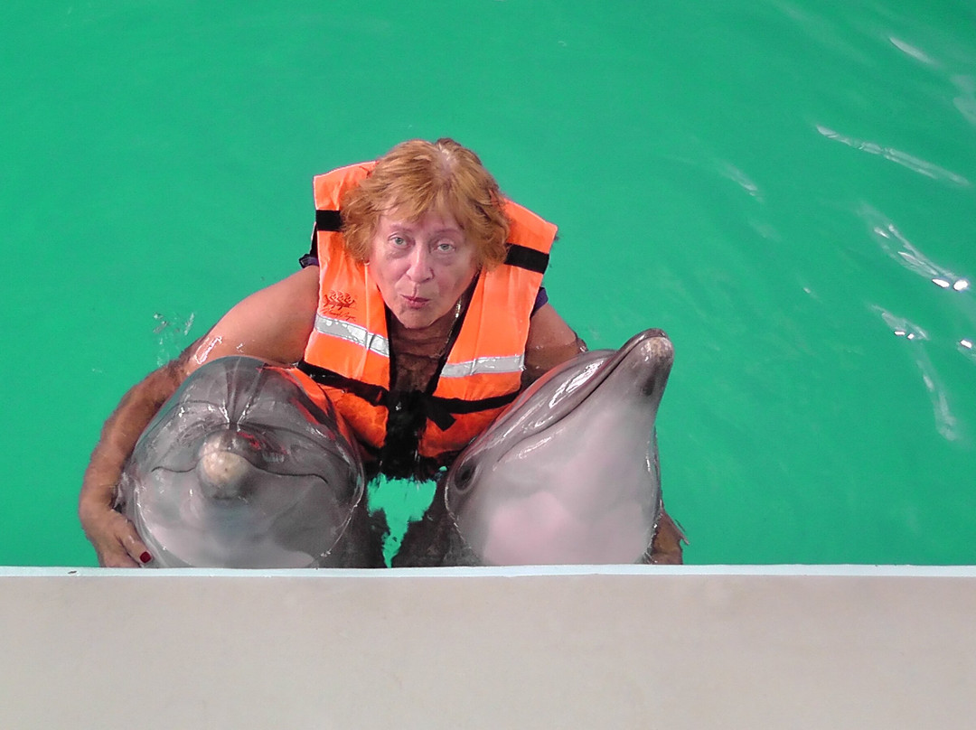 Dolphinarium Lazarevskiy-Lazarevskoye必去景点