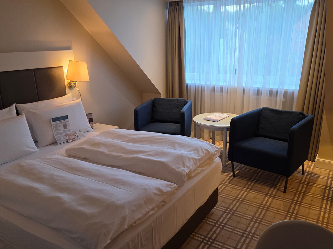 Hotel Birke主图