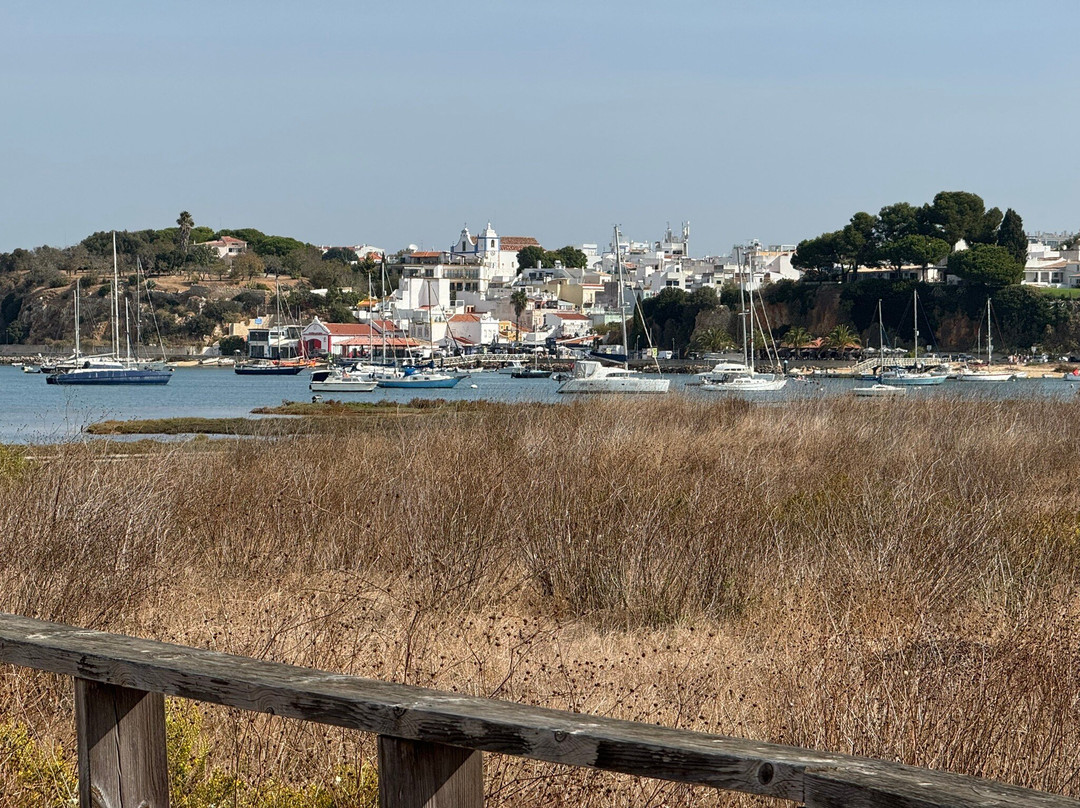 Yellowfish Transfers-法罗必去景点