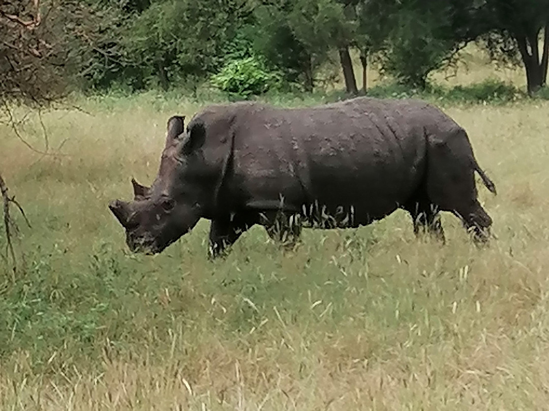 Voyage Sénégal Guide-Nianing必去景点