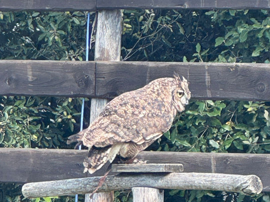 Roma World-罗马必去景点