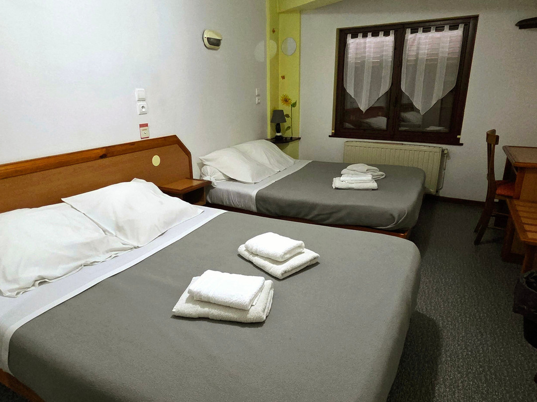 Hôtel des Touristes主图