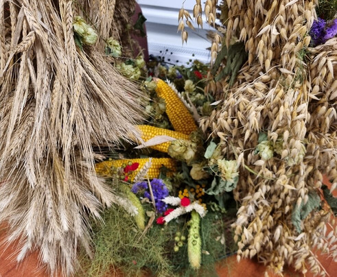 Poznan Tours-波兹南必去景点