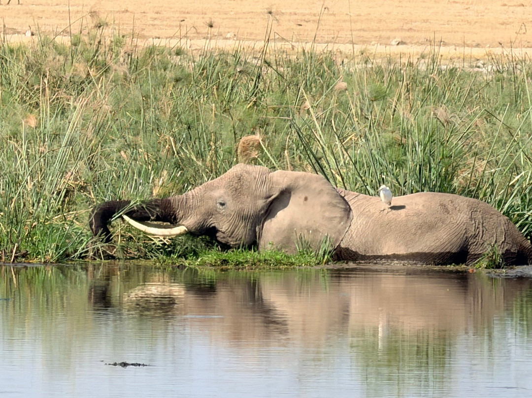 Ajkenyasafaris.com Ltd-Ruiru必去景点