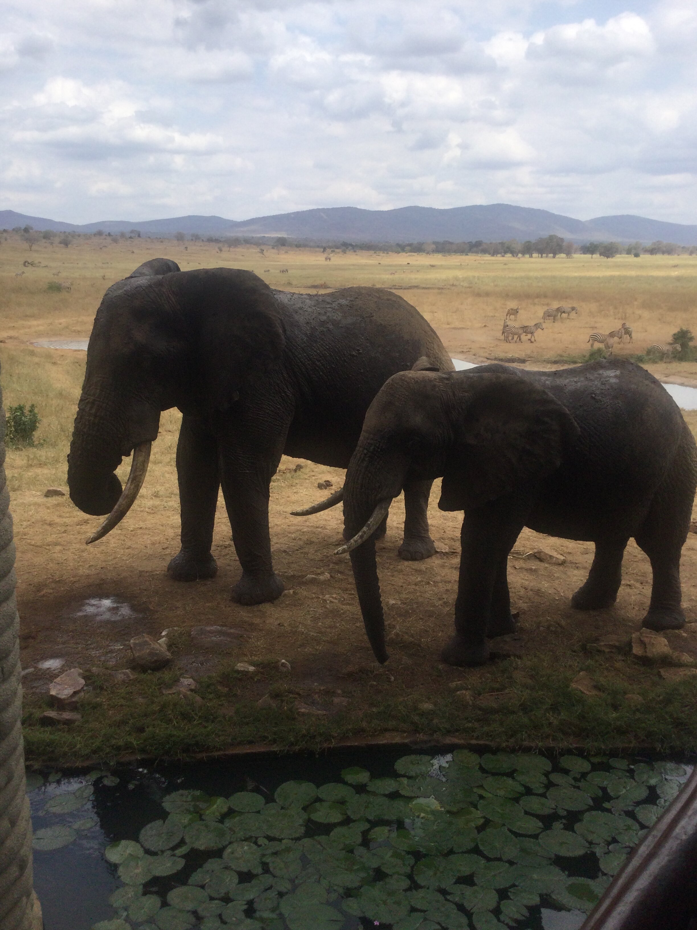 萨洛瓦萨尔特利克游戏旅馆-浴室