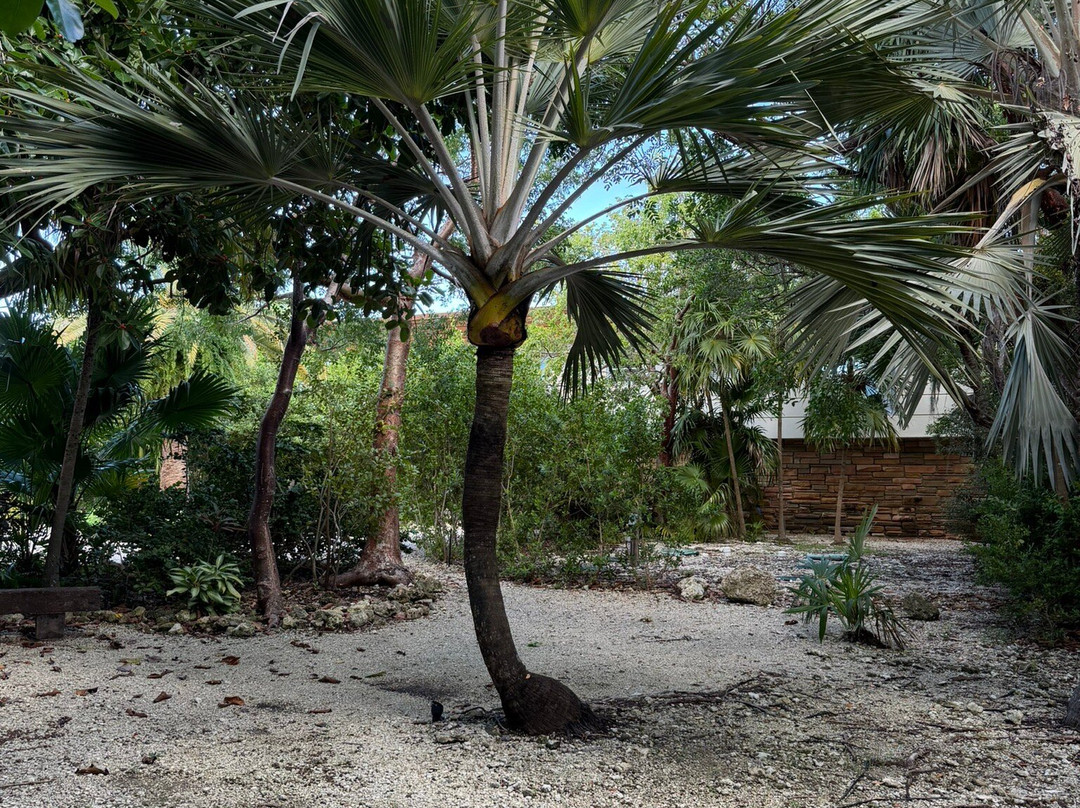 Crane Point Museum & Nature Center-马拉松必去景点