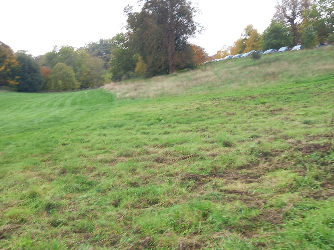 The Cherry Tree Inn-泰晤士河畔亨利必去景点