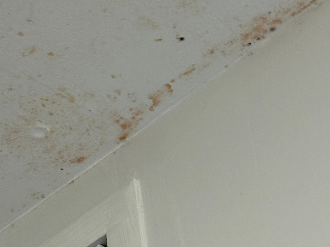 日内瓦湖畔华美达酒店主图