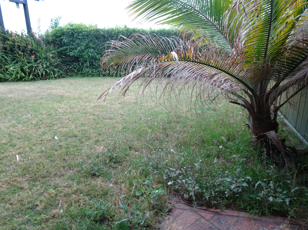 Argyle Terrace Motor Inn主图