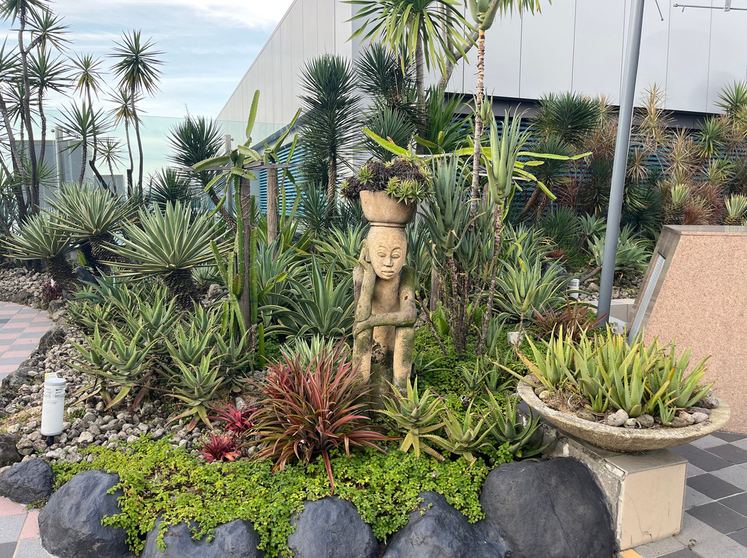 Cactus Garden-新加坡必去景点