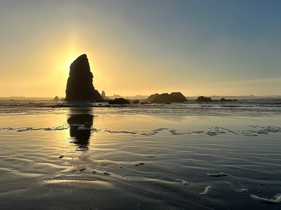 海洋山林小屋主图