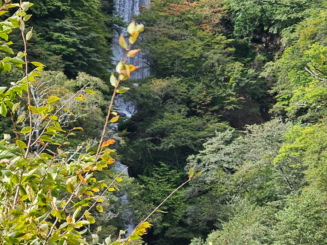 Irohazaka Route-日光市必去景点