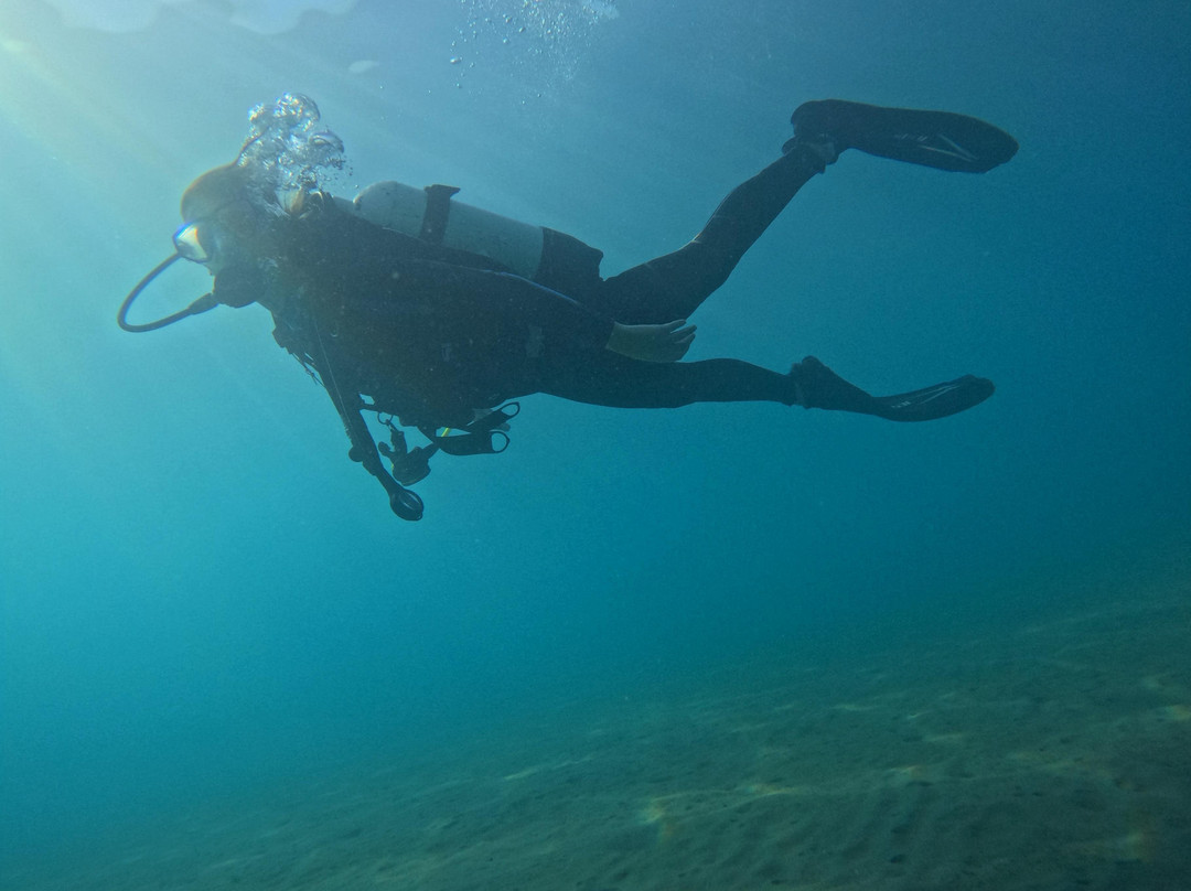 Blue Thunder Diving-利马索尔必去景点