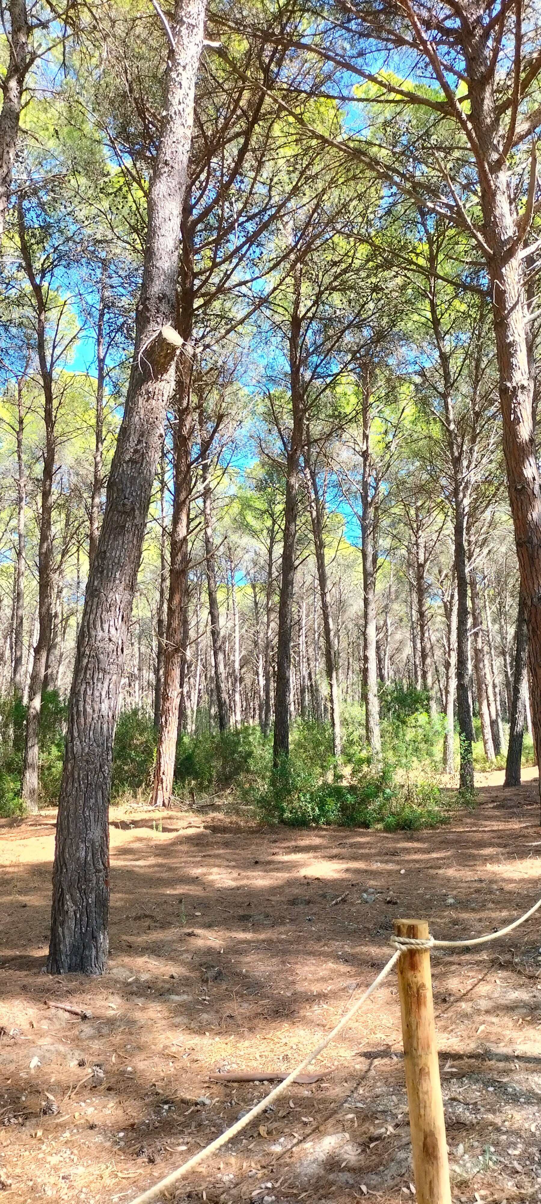 TH Marina Di Pisticci - Ti Blu Village-泳池