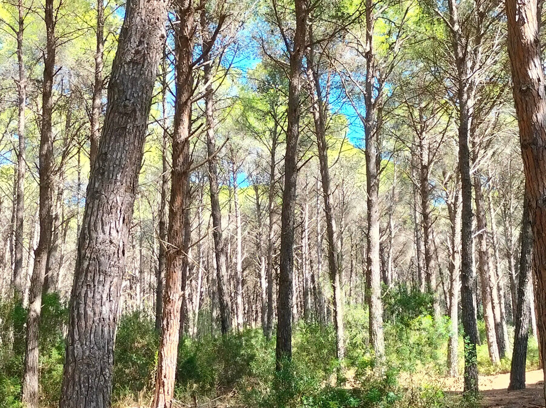 TH Marina Di Pisticci - Ti Blu Village主图