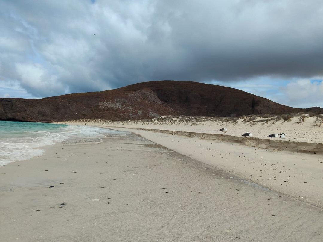 Playa El Tecolote (Tecolote Beach)-拉巴斯必去景点