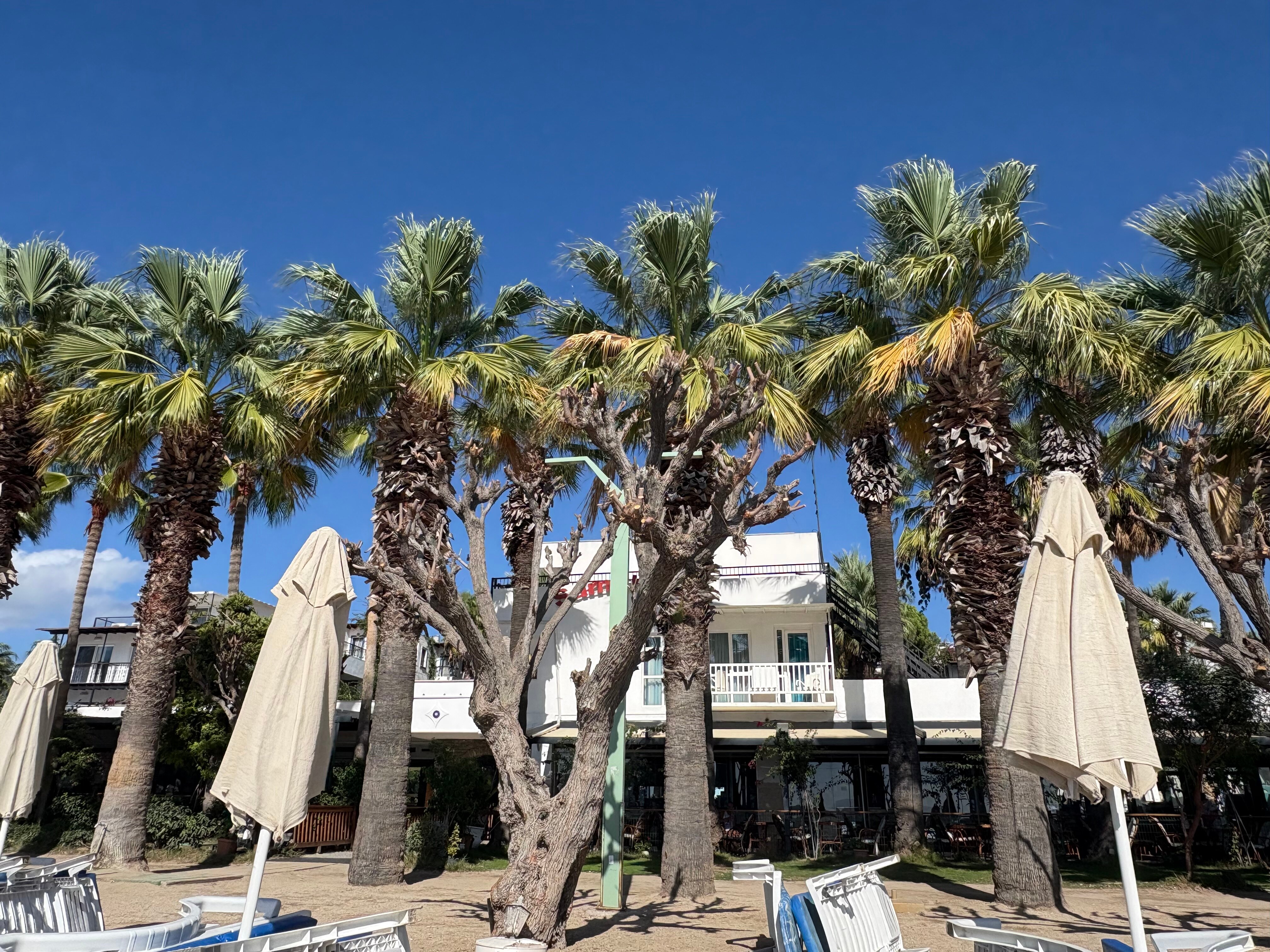 Sami Beach Hotel-官方