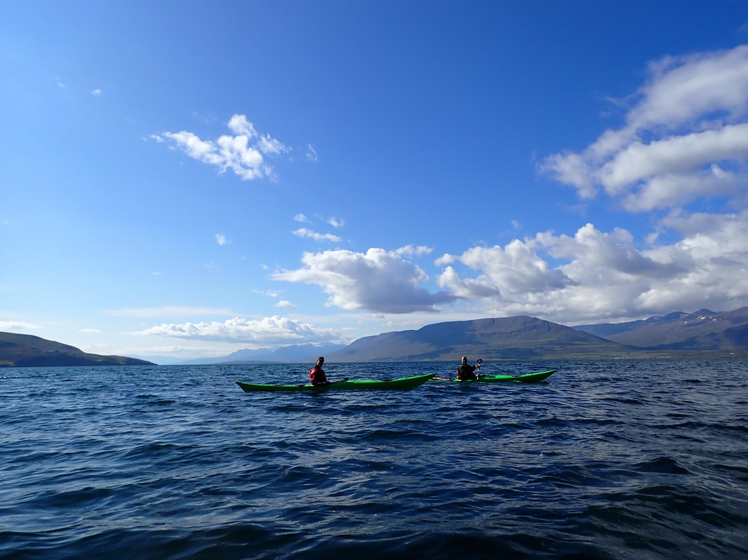 CapeTours-Grenivik必去景点