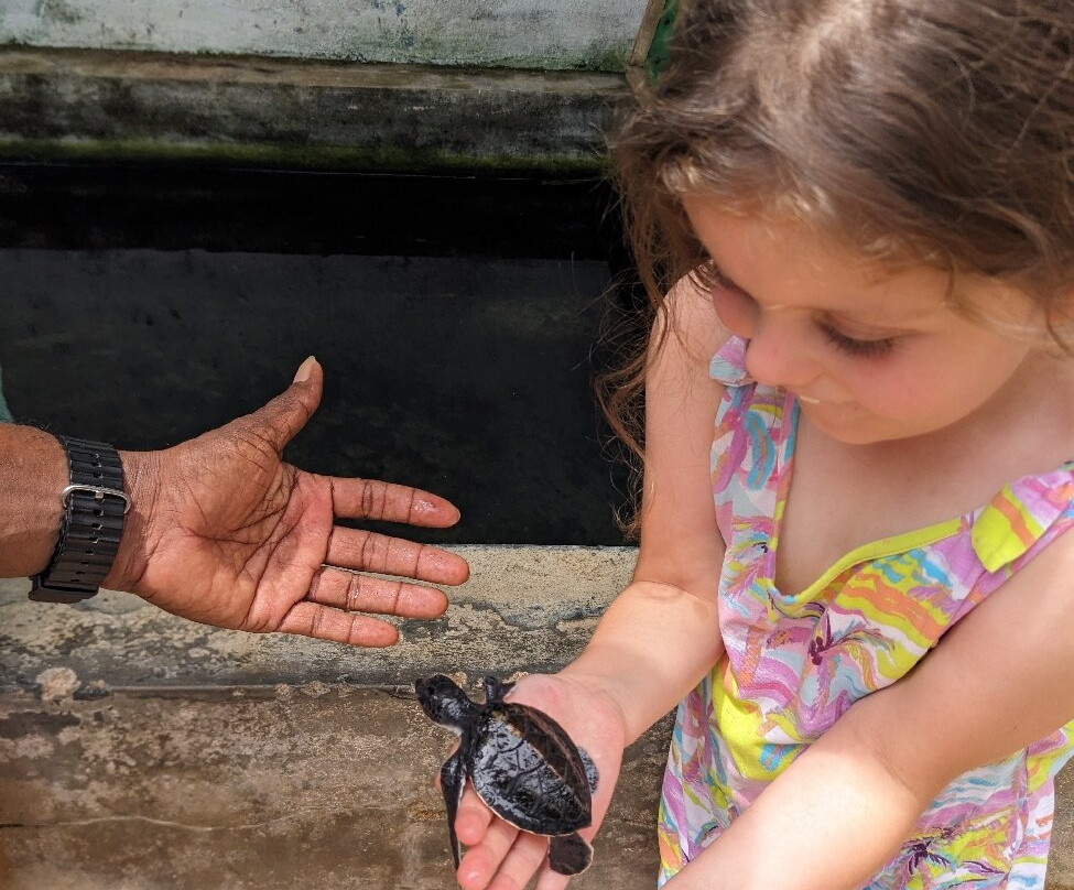 Magical Paradise-Kandana必去景点